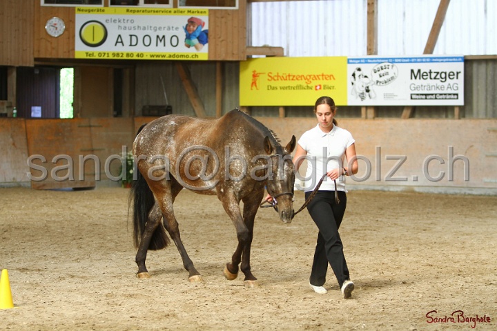 24-ApHC HIH_096.jpg